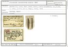 Karteikarte zum Syntyp von Plecanium lanceolatum Karrer, 1868